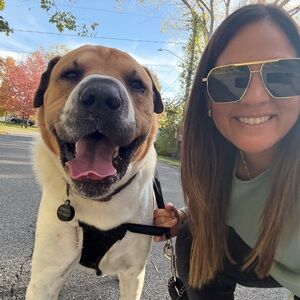 Meet the Posher 💗